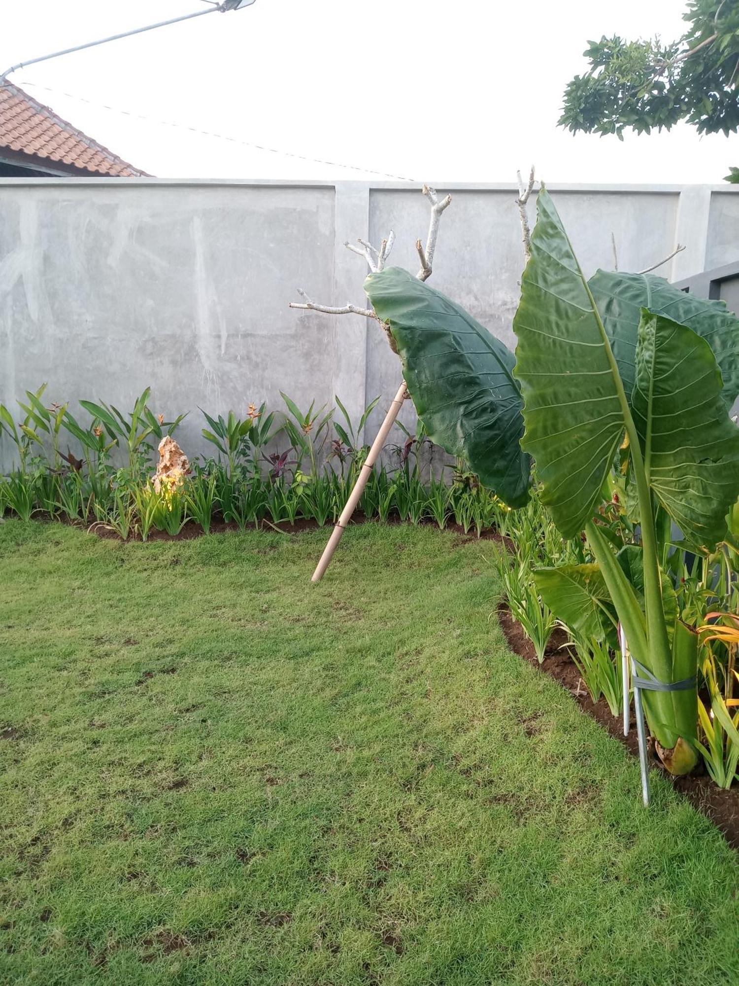 Parama Homestay Balangan Uluwatu Exterior foto