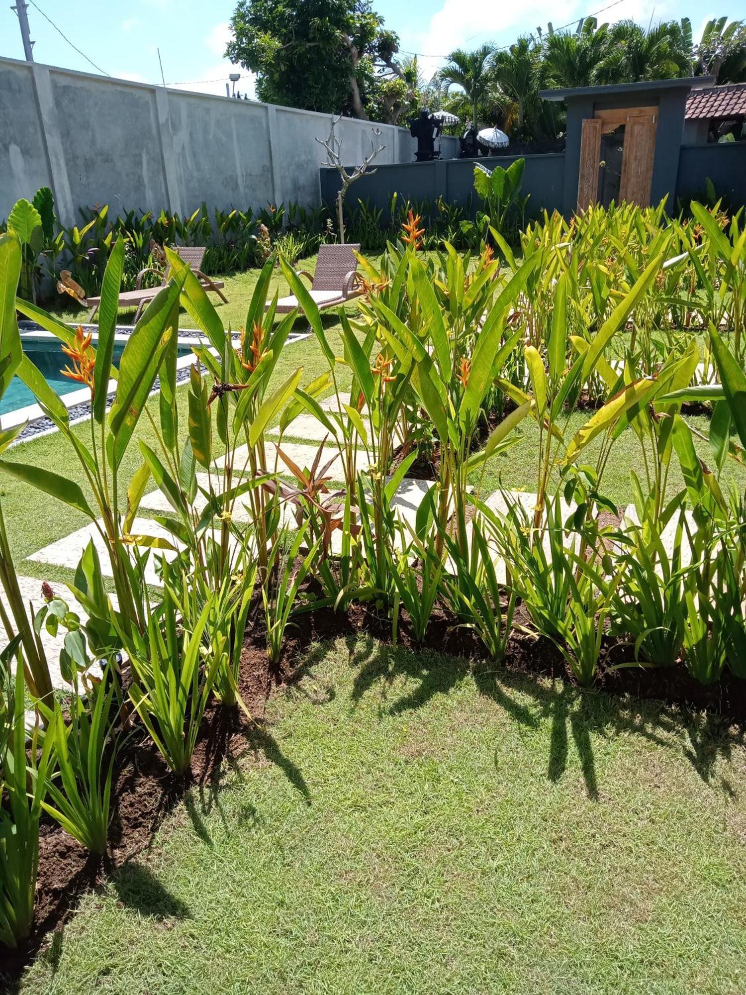 Parama Homestay Balangan Uluwatu Exterior foto